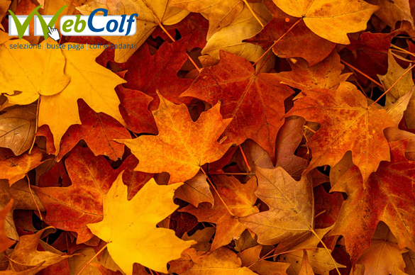 images/autunno%202025.png