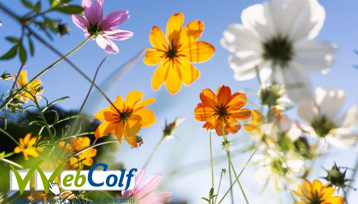 images/foto%20pagoPa%201.png images/foto%20pagoPa%201.png